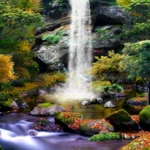 3d autumn waterfall android application logo